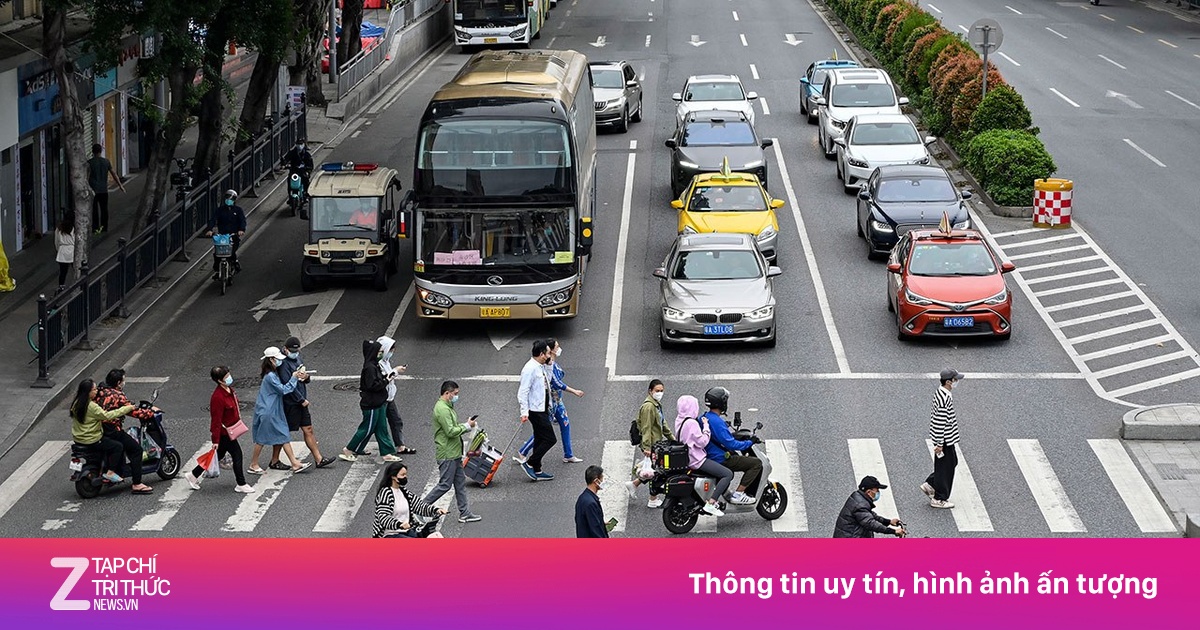 znews.vn