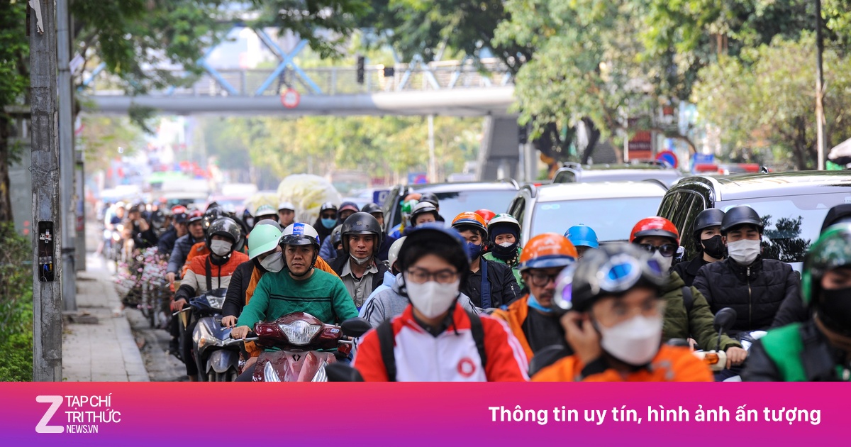 znews.vn