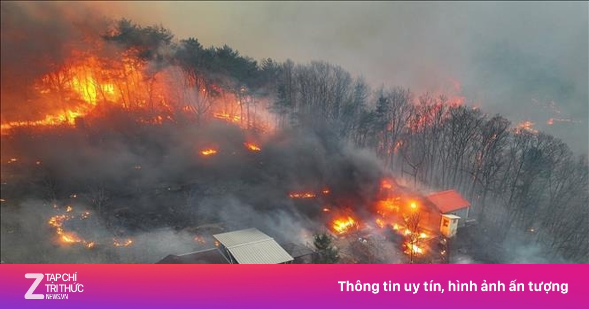 Hàn Quốc bắt giữ nghi phạm gây cháy rừng làm ít nhất 26 người chết