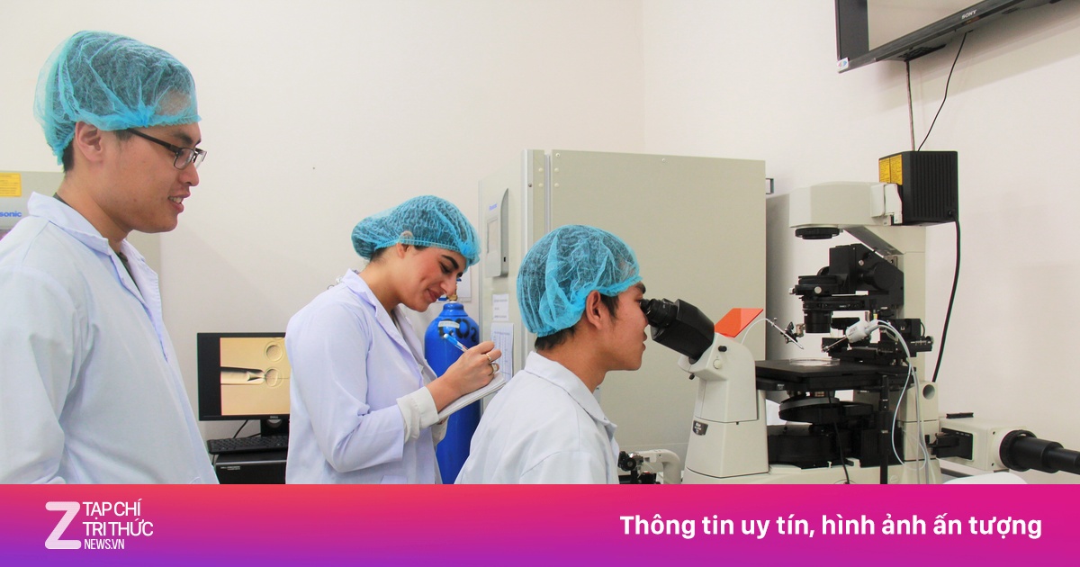 Nhiều tiến sĩ từ trường danh tiếng thế giới muốn về Việt Nam dạy học