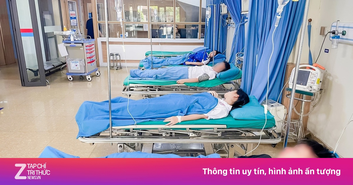 4 học sinh sốc phản vệ sau khi bạn ném tổ ong trong lễ tổng kết