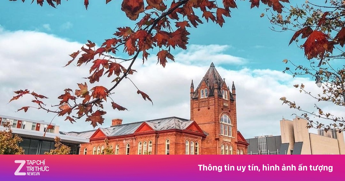 10 đại học có tầm ảnh hưởng nhất thế giới 2025