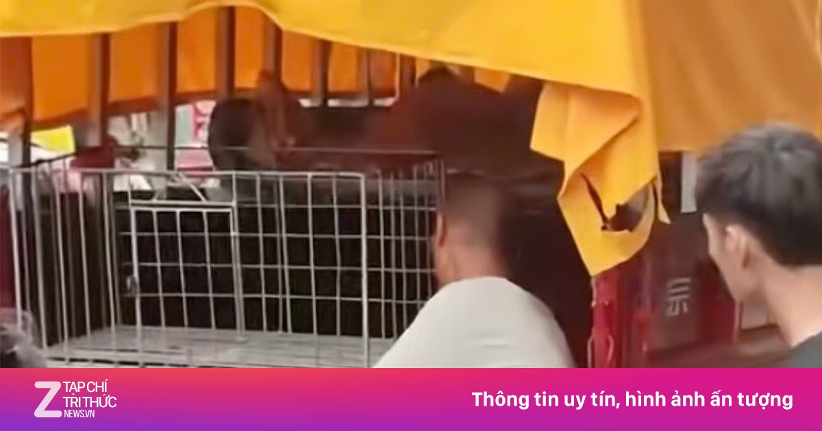 Phẫn nộ bố Trung Quốc nhốt con mới biết đi vào lồng sắt