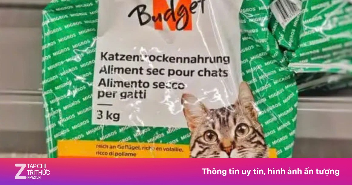 Ăn thức ăn cho mèo để tiết kiệm tiền học tiến sĩ