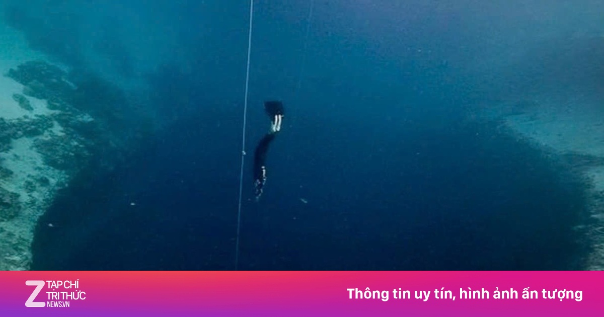 Phát Hiện Hơn 1.700 Virus Cổ Đại Dưới Đáy Biển Đông, Mở Ra Cánh Cửa Mới Cho Khoa Học