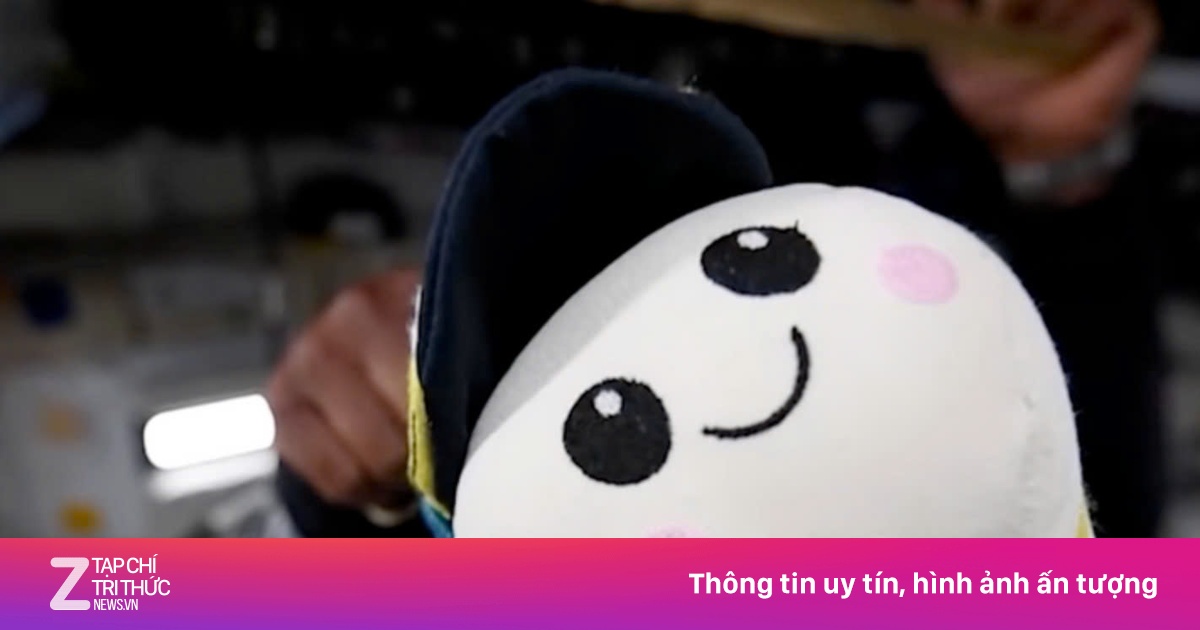 Cậu bé 8 tuổi tạo gấu bông chỉ báo không trọng lực trên tàu Artemis II