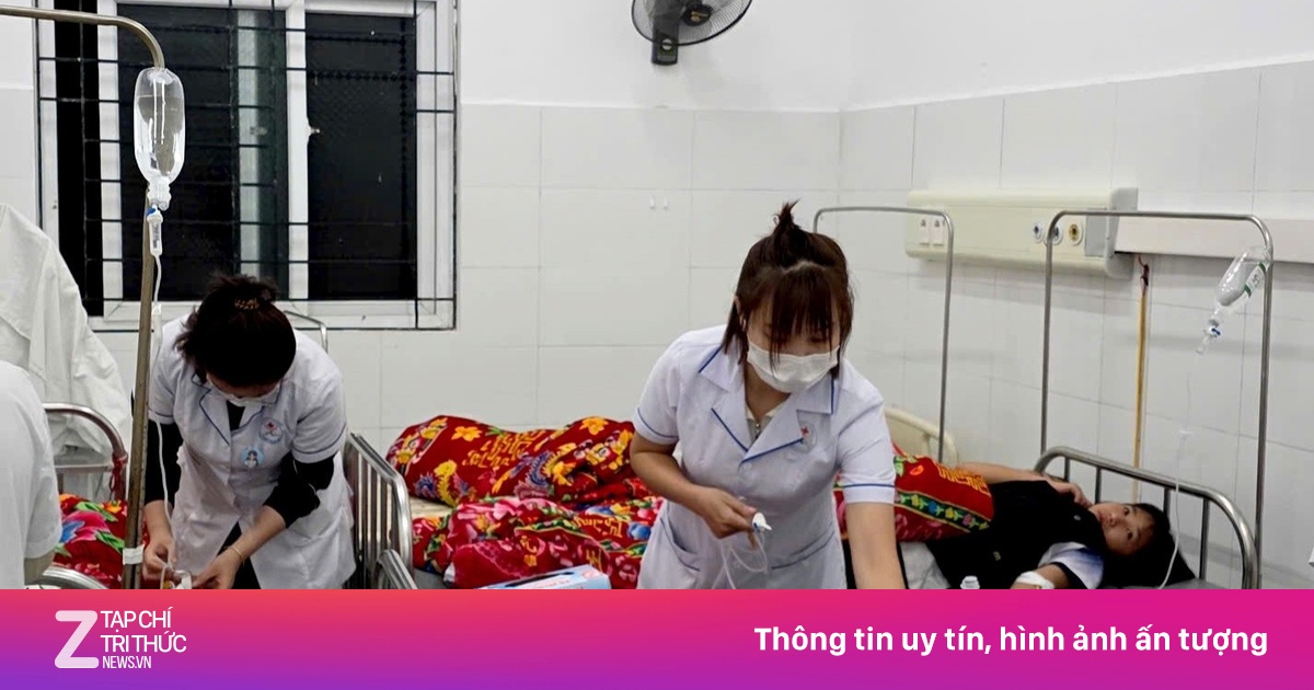 206 học sinh Lai Châu ngộ độc nghi do ăn quả lạ hái từ rừng