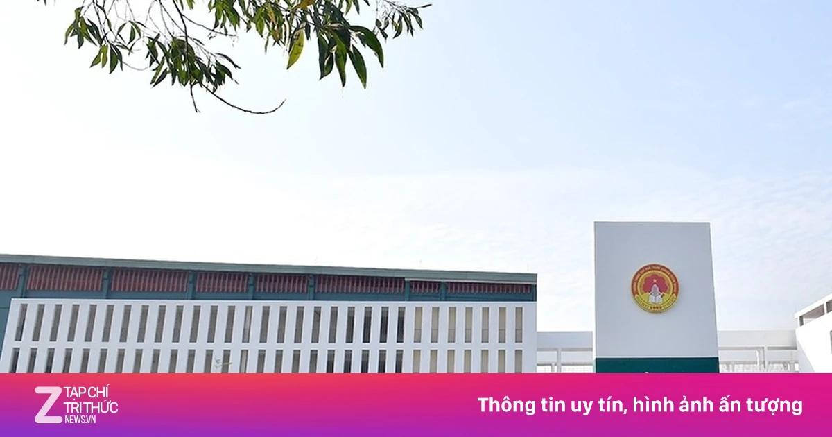 znews.vn