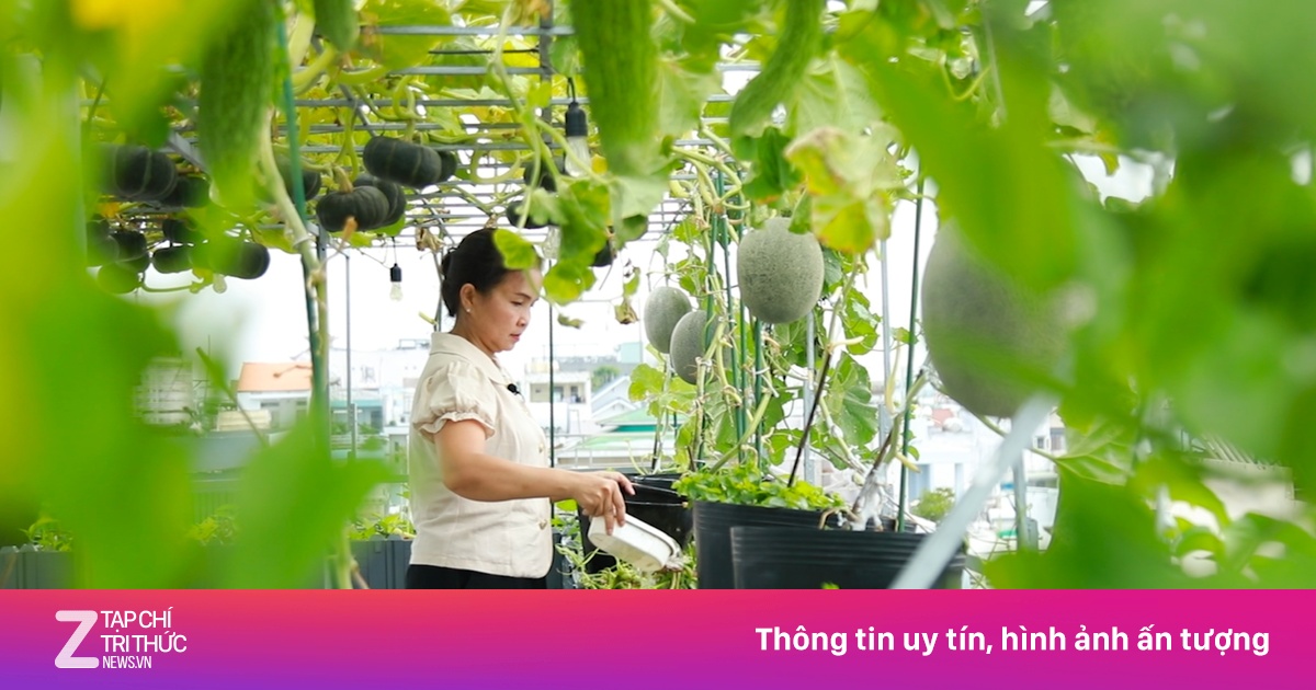Có vườn sân thượng 100 m2, gia đình TP.HCM khỏi lo rau 'sốt giá'