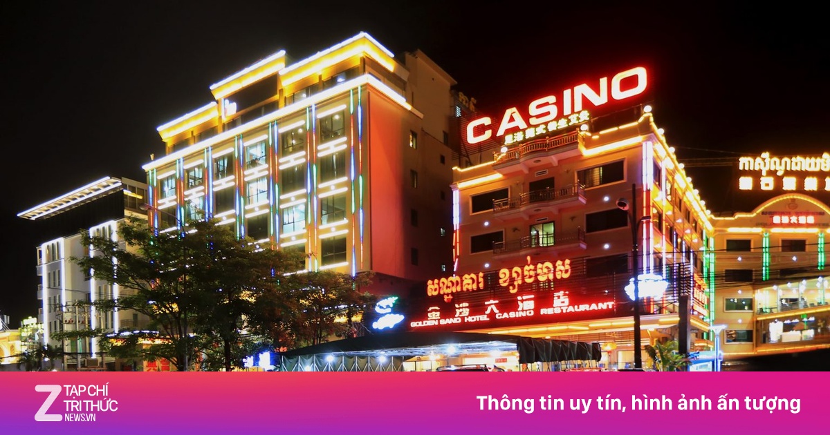 zingnews.vn