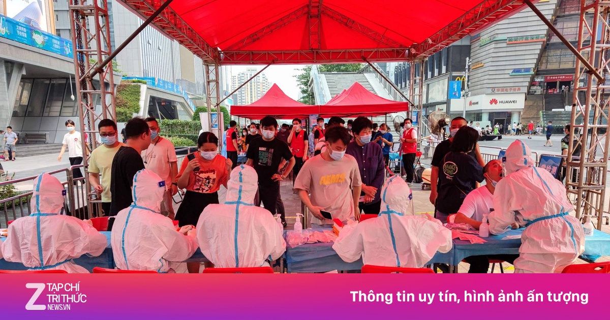 zingnews.vn