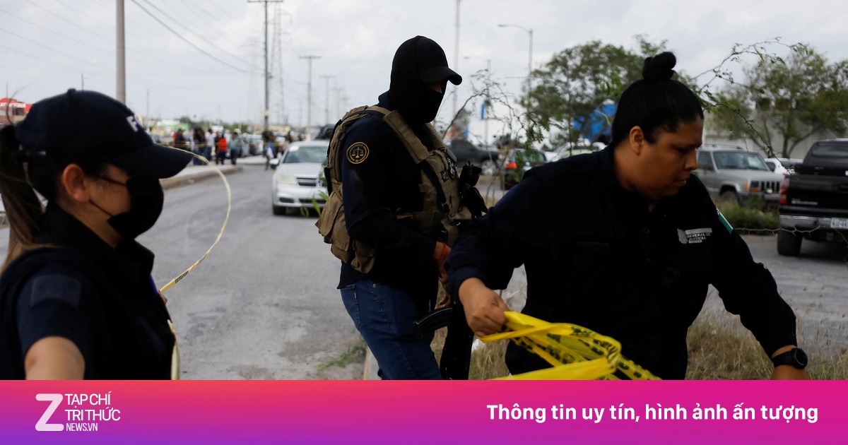 znews.vn