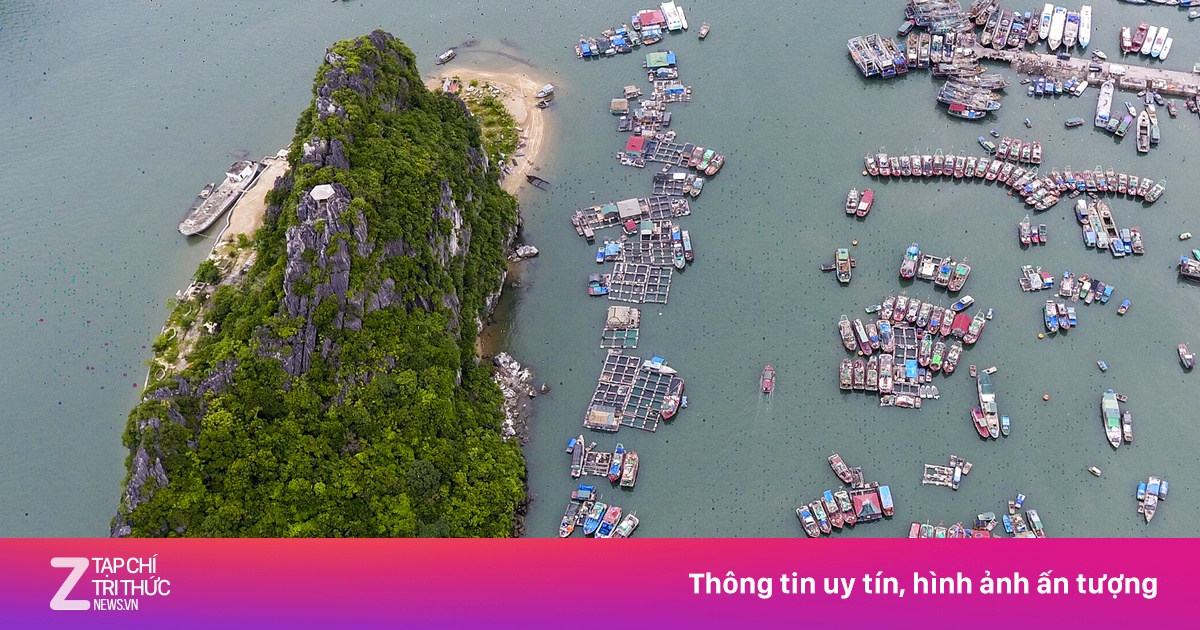 Cảng Cái Rồng trước ngày Vân Đồn thành đặc khu kinh tế - Kinh doanh ...