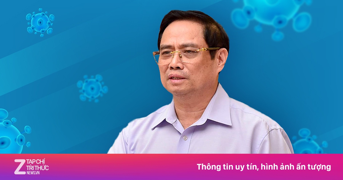 znews.vn