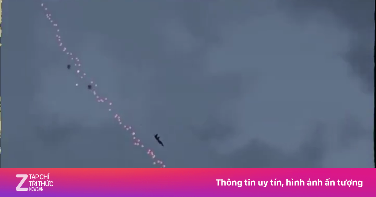 znews.vn