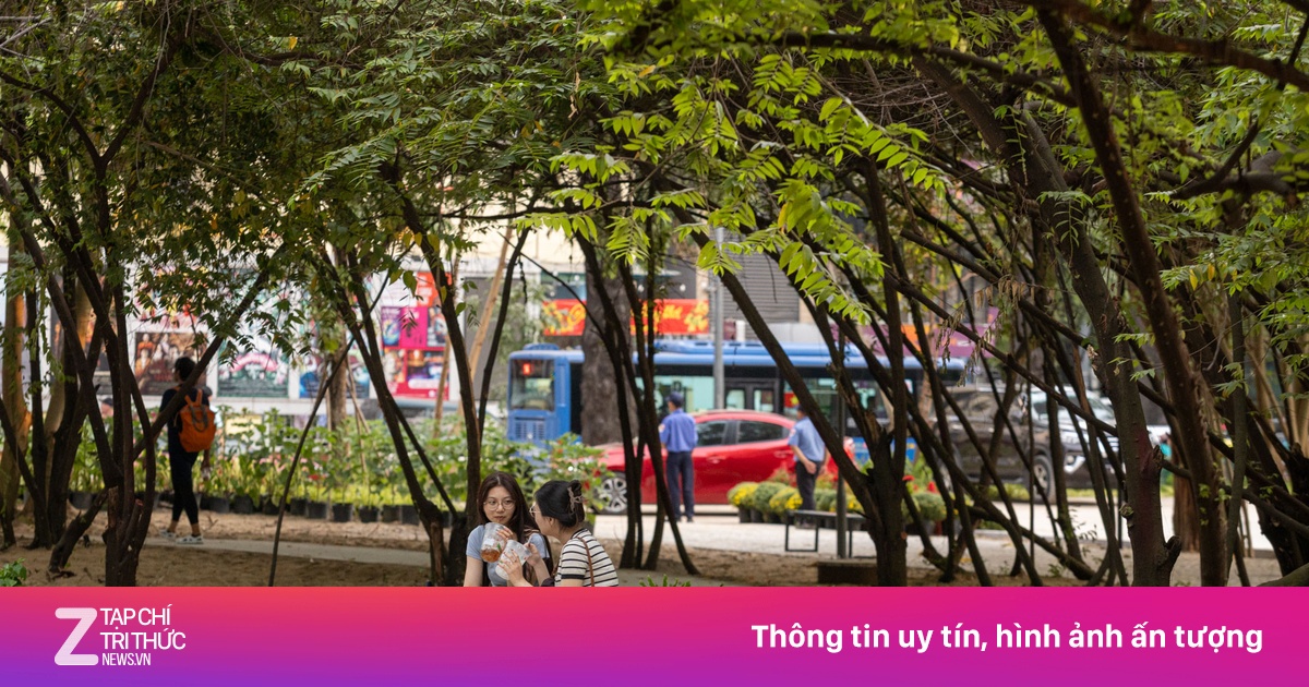 TP.HCM không xây thêm chung cư trung tâm, ưu tiên đất làm công viên