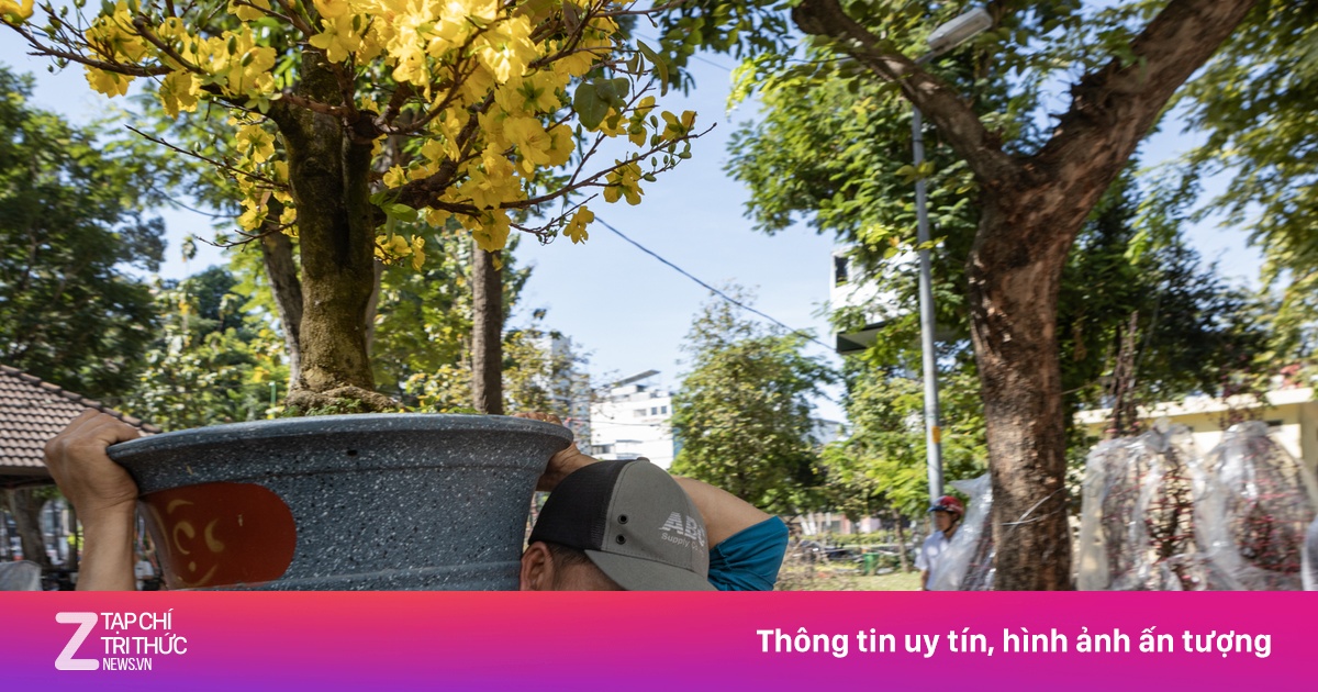 Tiểu thương bán hoa ở TP.HCM nhọc nhằn xả hàng kịp về quê ngày 29 Tết