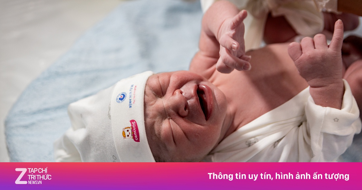 Khoảnh khắc đón những 'ngựa vàng' đầu tiên năm Bính Ngọ