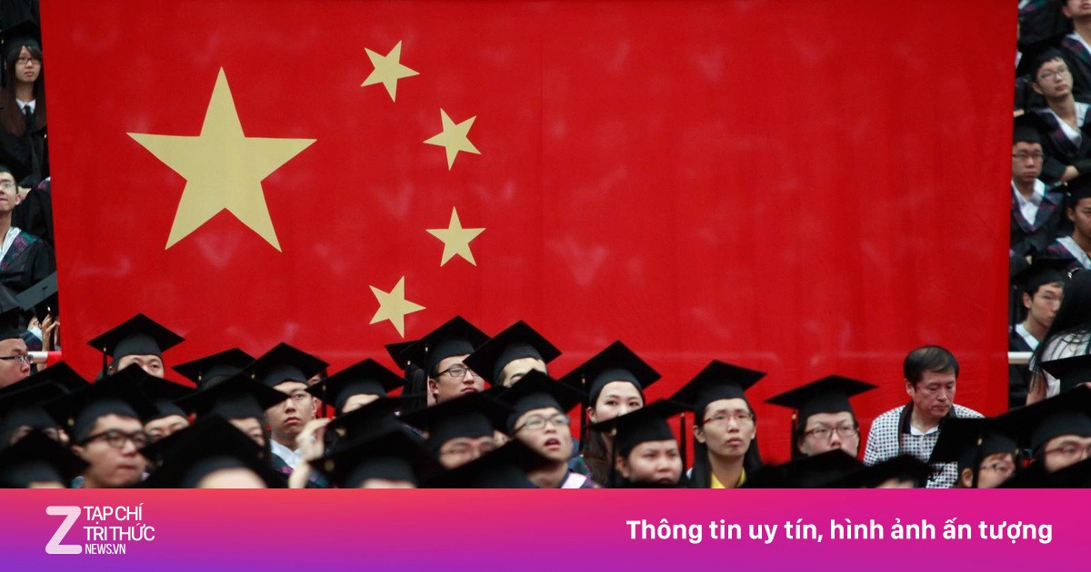 zingnews.vn