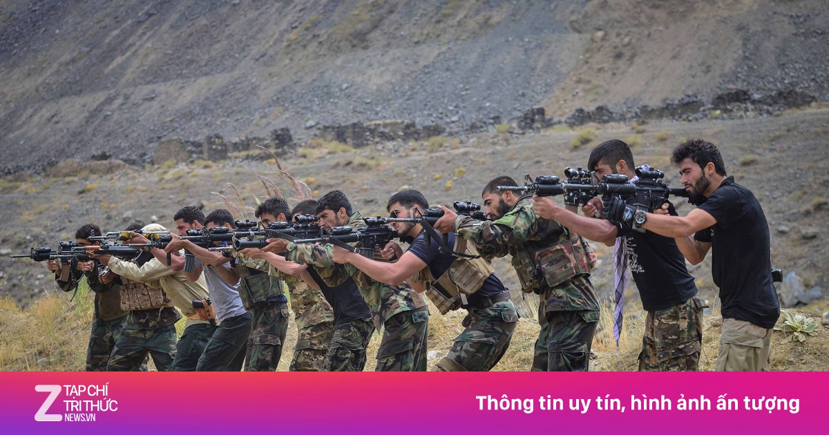 zingnews.vn