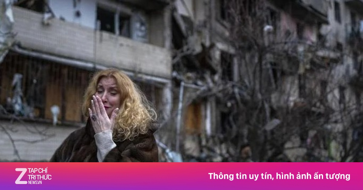 zingnews.vn