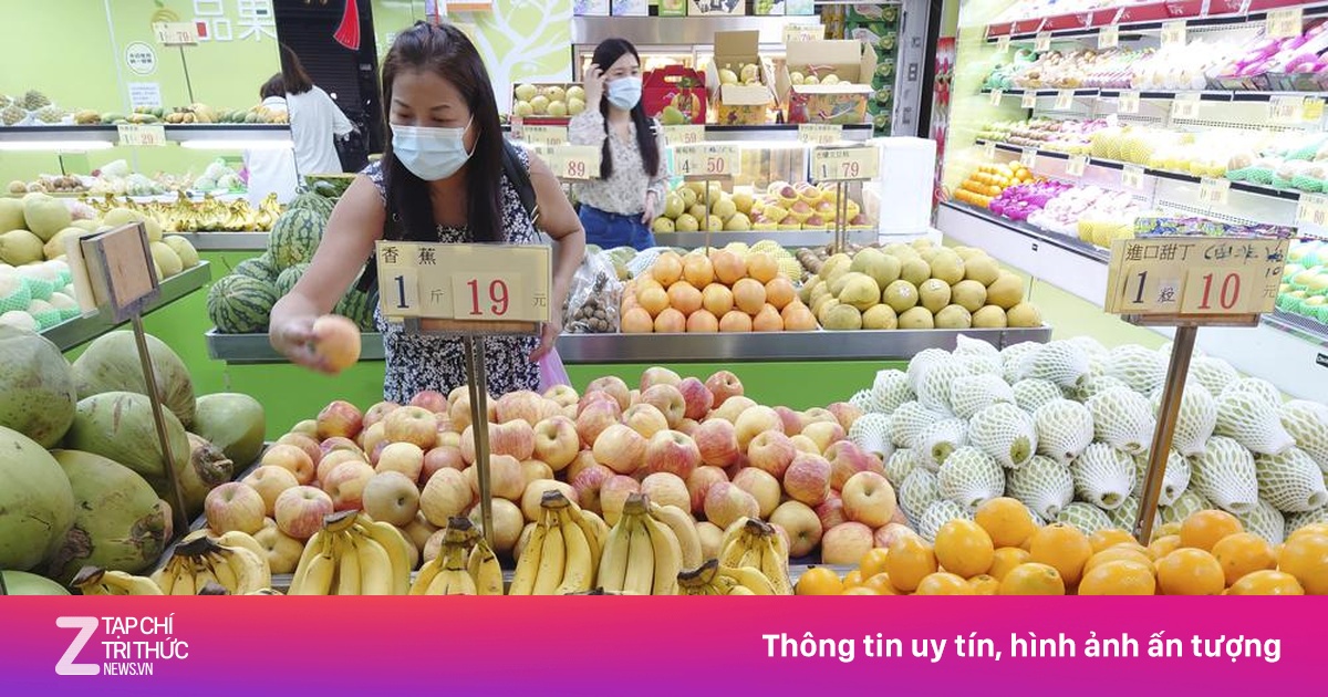 zingnews.vn