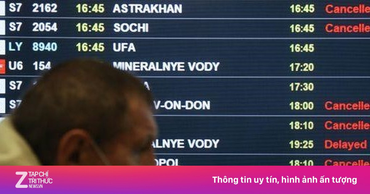 zingnews.vn