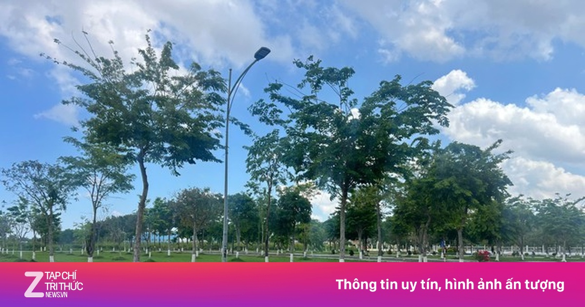 Chi tiết 29 dự án cây xanh Bộ Công an yêu cầu Bạc Liêu cung cấp hồ sơ