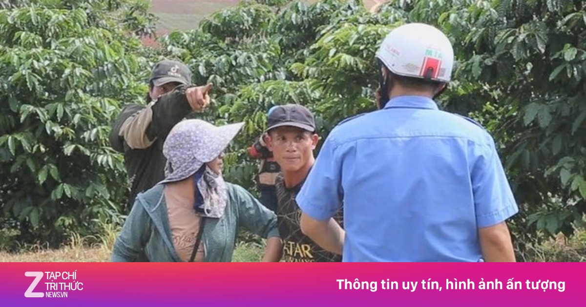 Khởi tố kẻ cầm dao rượt đuổi lực lượng giải tỏa đất bô xít ở Lâm Đồng
