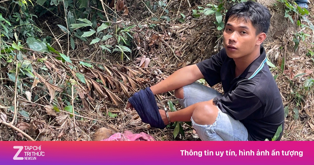 Đột nhập ủy ban phường, phá két sắt trộm hàng trăm triệu đồng