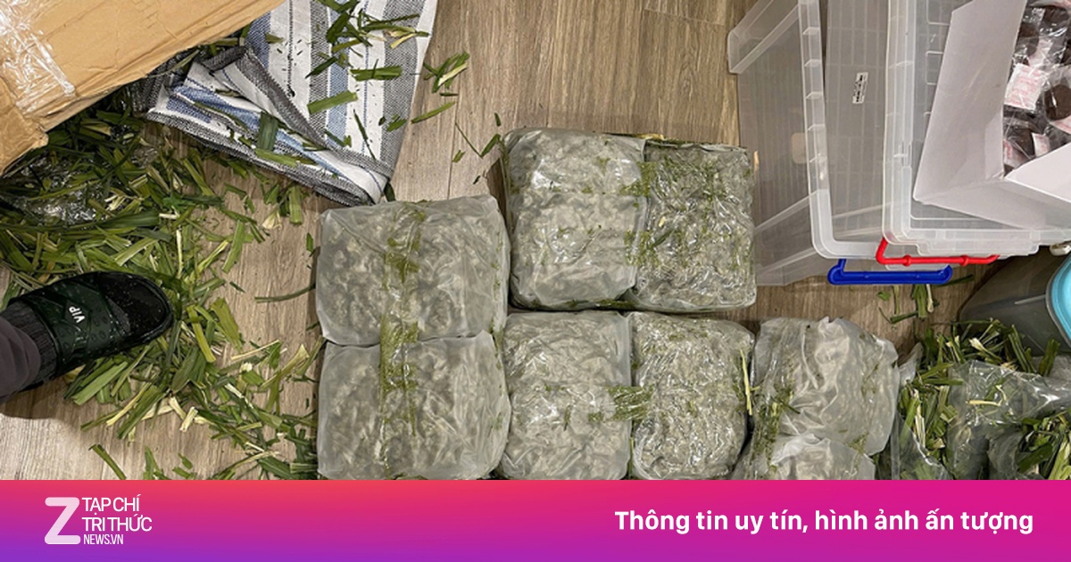Triệt xóa đường dây mua bán hơn 200 kg cần sa trên không gian mạng