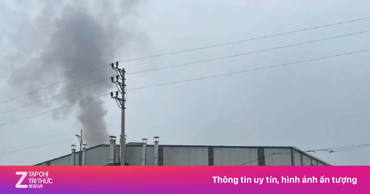 Bị phạt không có giấy phép môi trường, công ty gỗ vẫn hoạt động