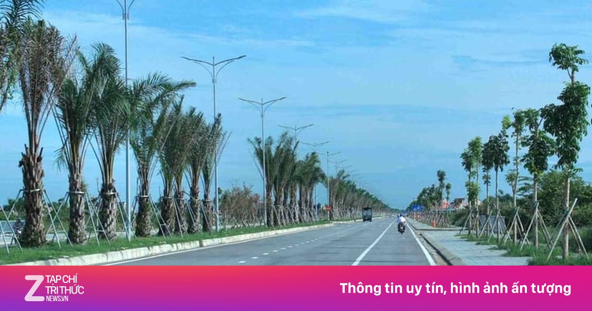 1,4 km dây cáp ngầm bị trộm 'rút ruột' trong đêm ở TP Huế