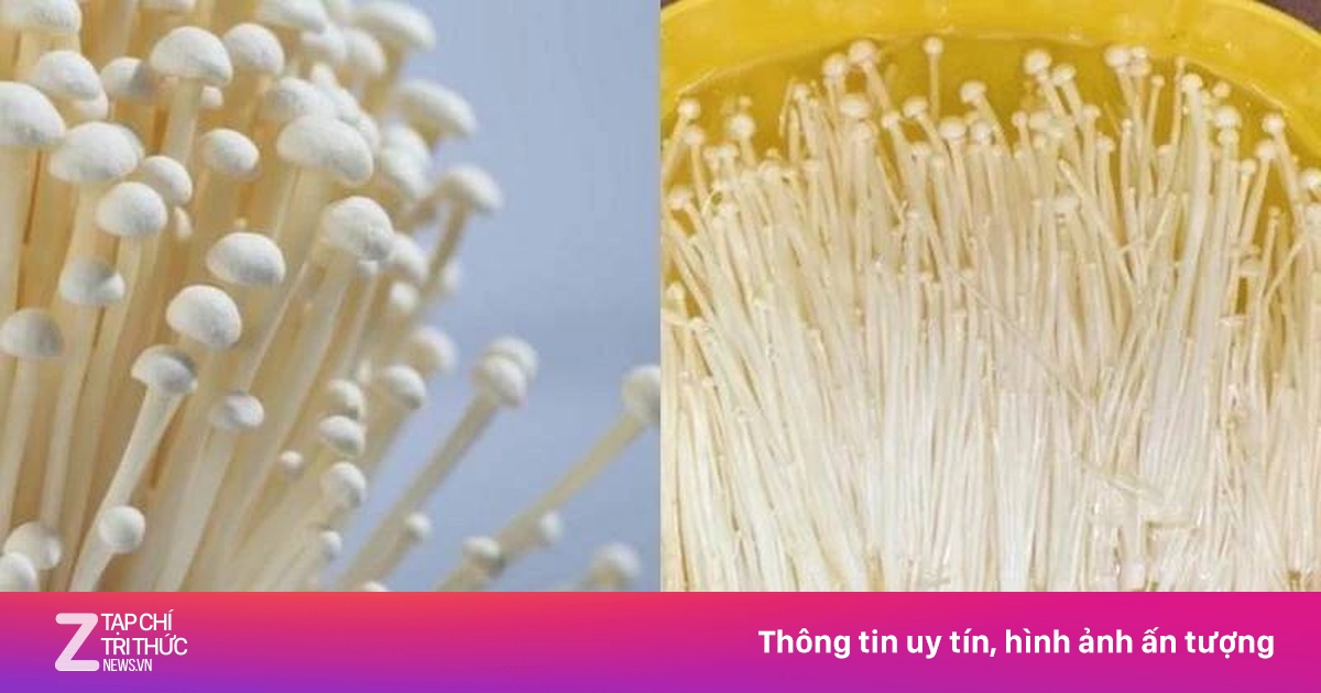 Tiêu hủy hơn 2,5 tấn nấm kim châm quá hạn sử dụng