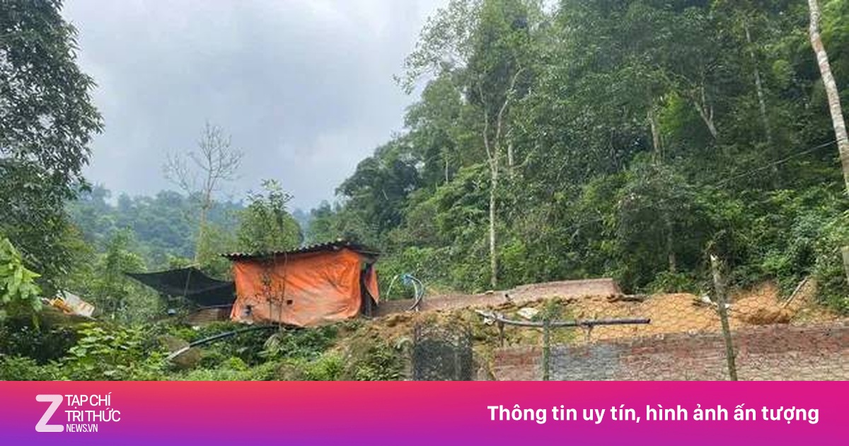 Kịp thời sơ tán 77 người dân trước sạt lở đất ở Lào Cai