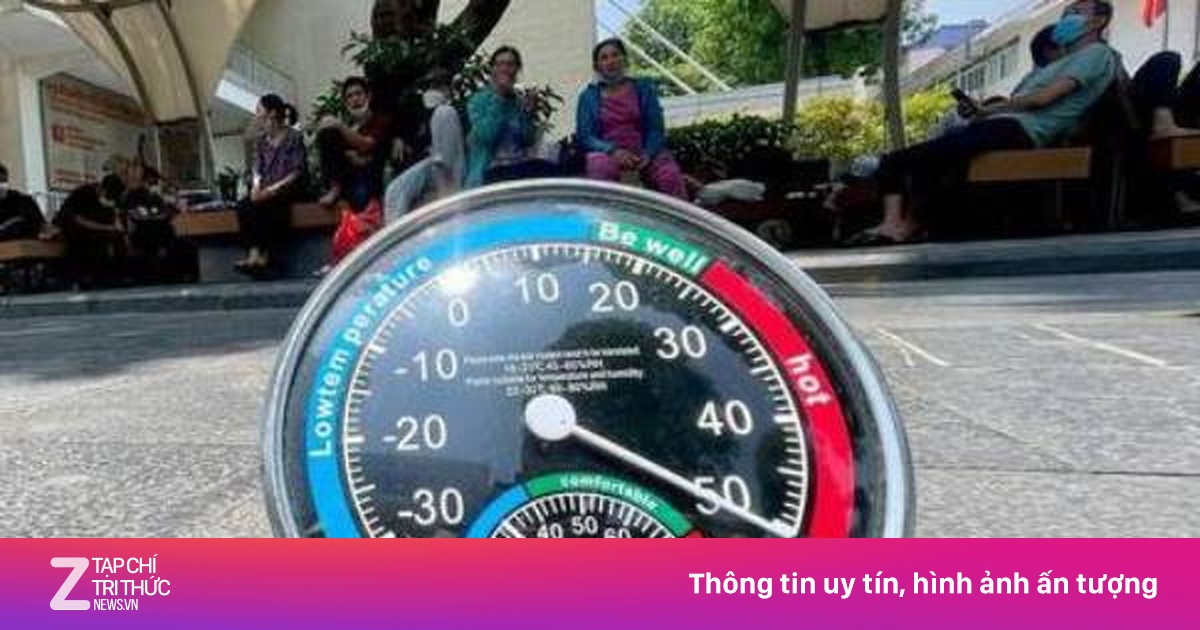 znews.vn
