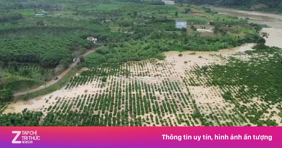 Lâm Đồng yêu cầu các công ty thủy điện xả nước hồ chứa để đón lũ