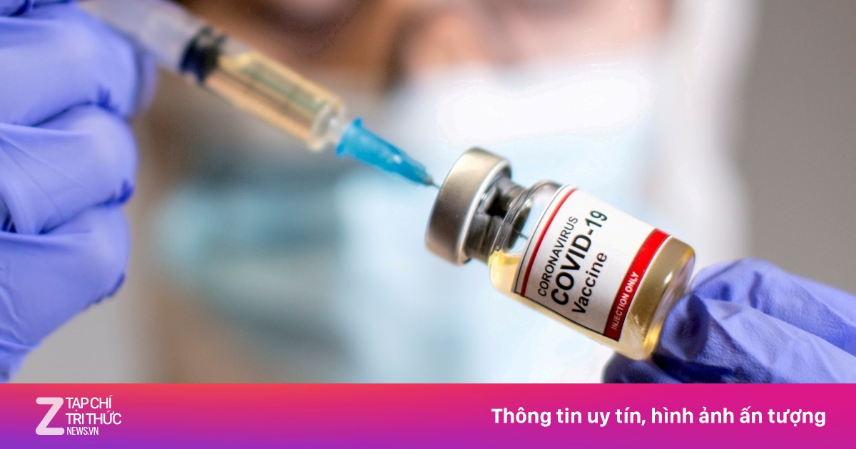 zingnews.vn