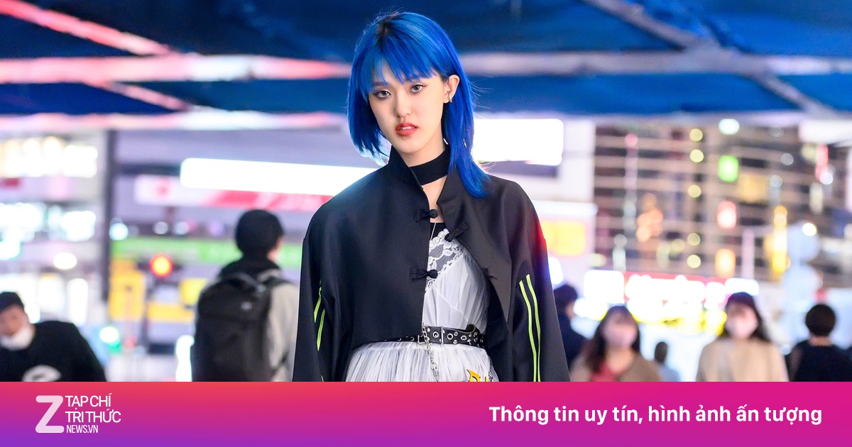 zingnews.vn