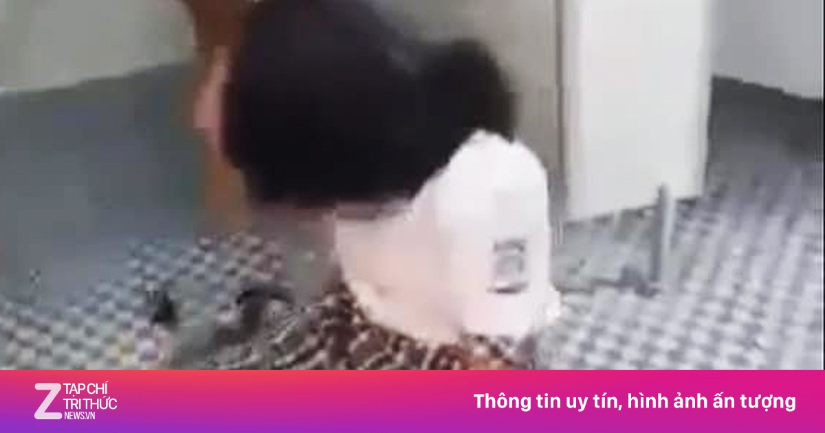 zingnews.vn