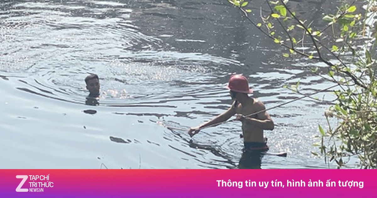 zingnews.vn