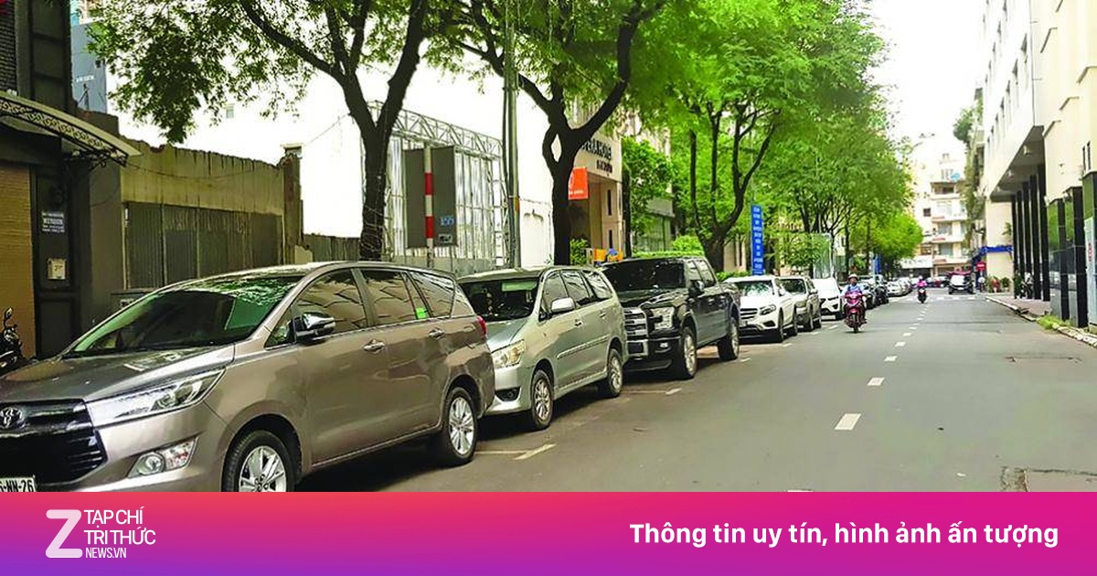 znews.vn
