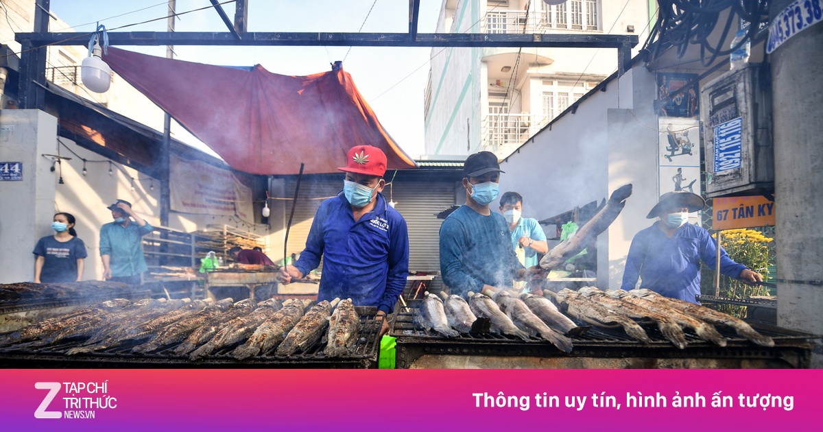 zingnews.vn