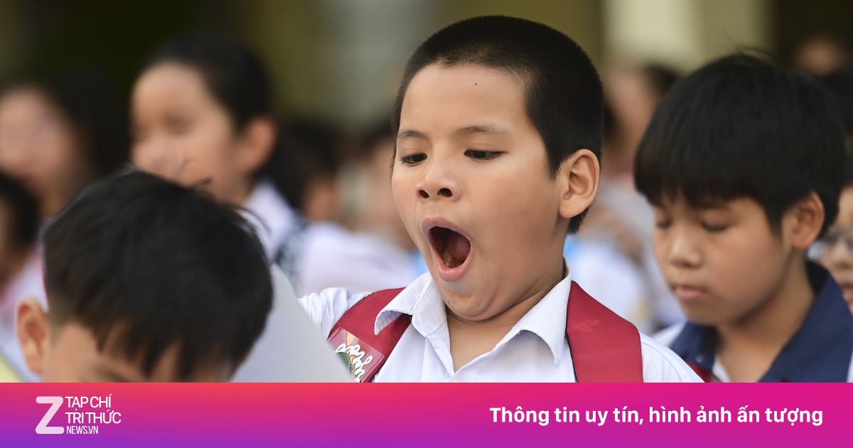 Học sinh TP.HCM bước vào cuộc thi tỷ lệ chọi cao kỷ lục để vào lớp 6