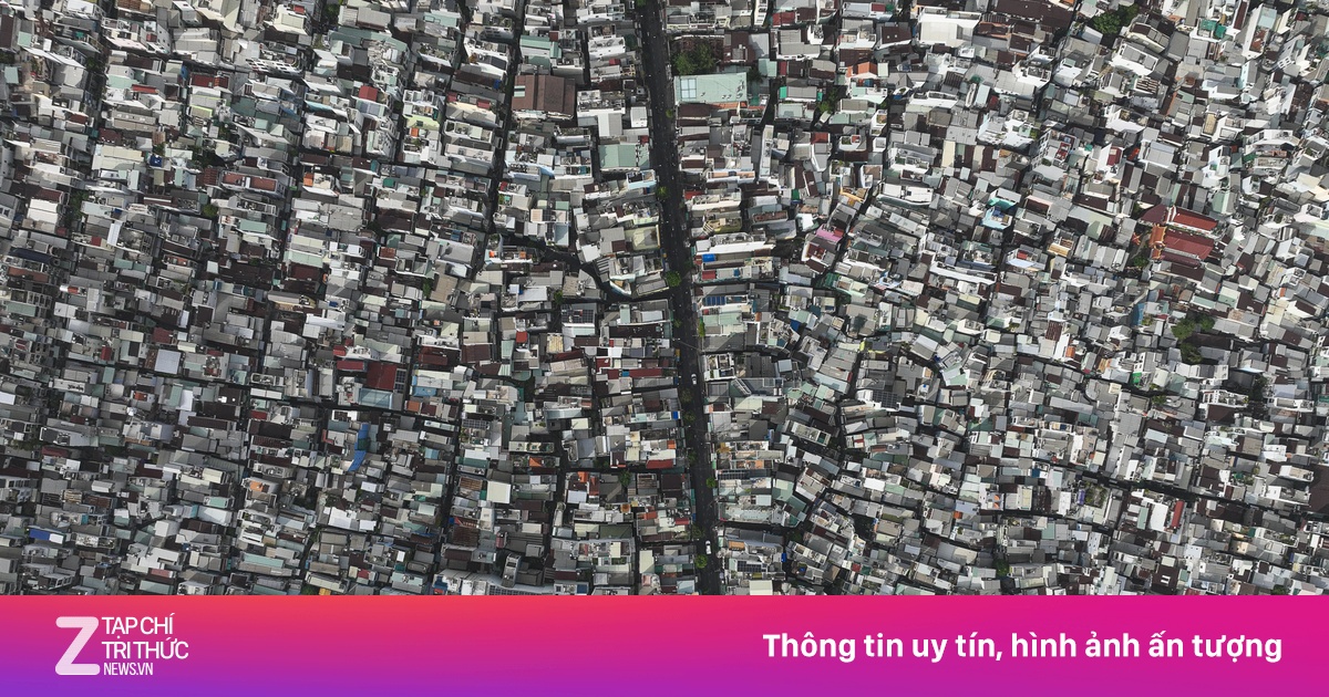 znews.vn