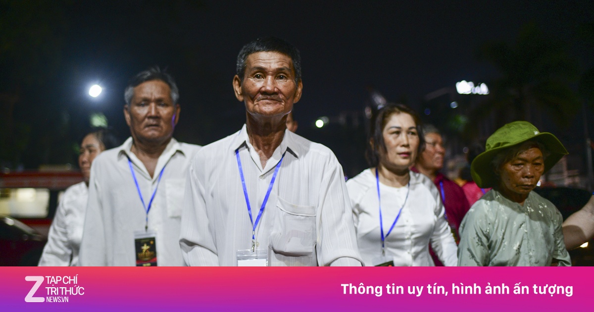 znews.vn