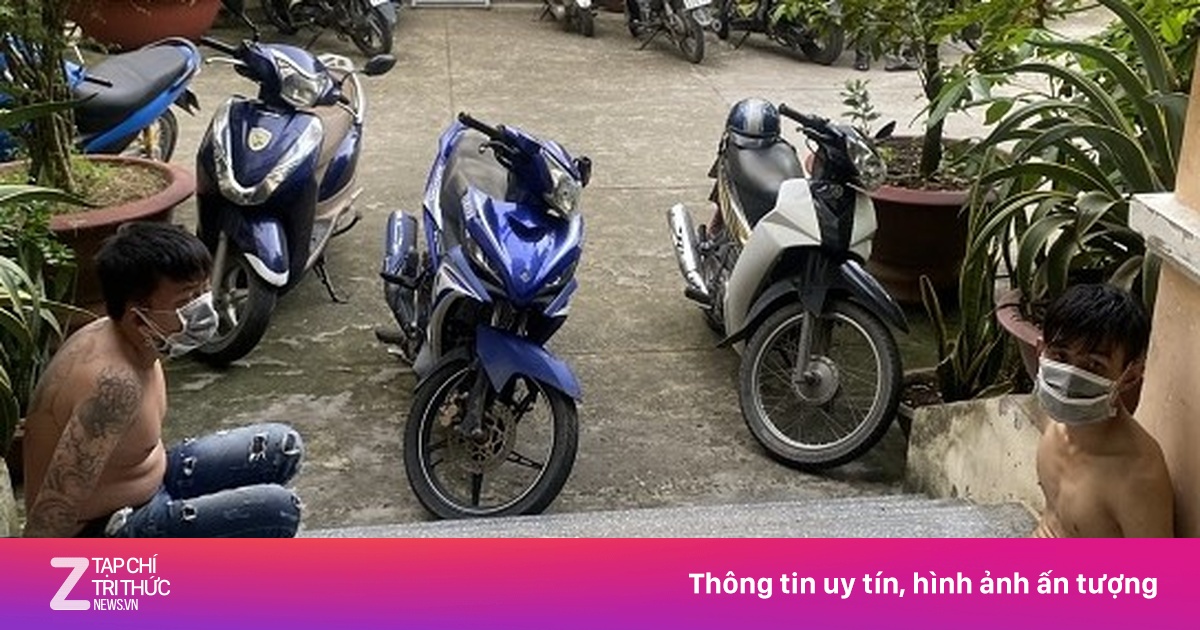 zingnews.vn