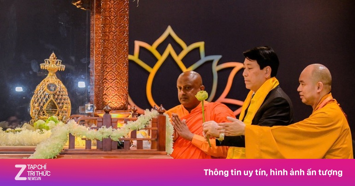 Chủ tịch nước Lương Cường chiêm bái Xá lợi Đức Phật - Quốc bảo Ấn Độ