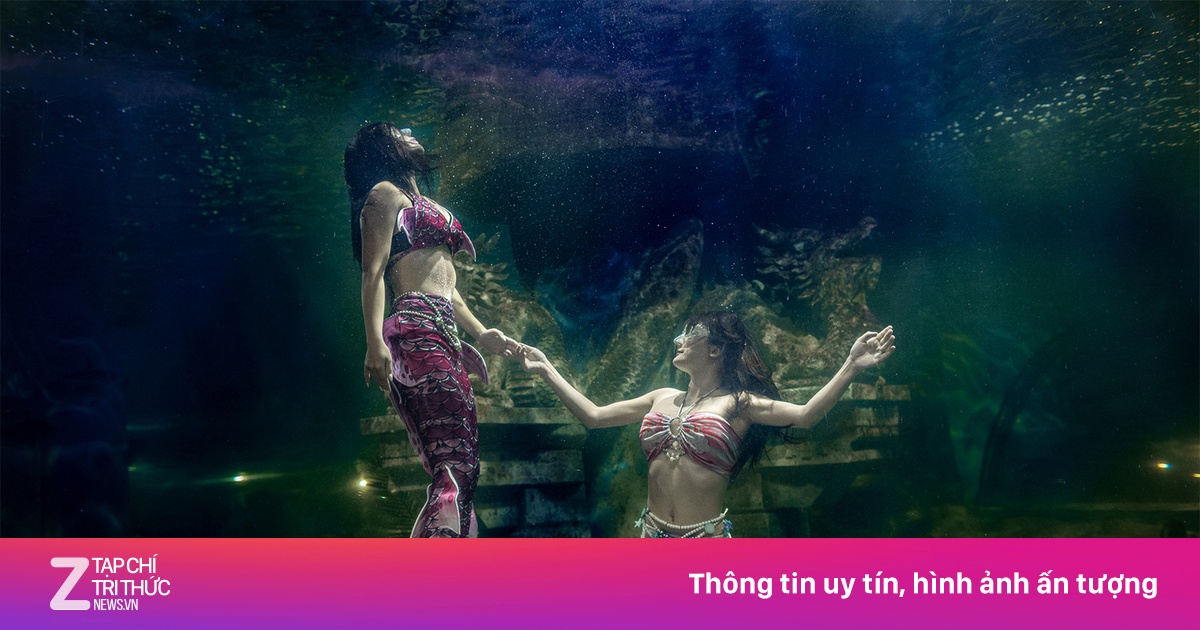 Hai thế giới của 'nàng tiên cá' hiếm hoi ở Việt Nam