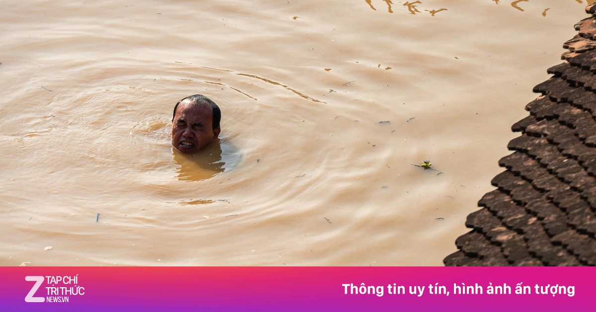 Cảnh người dân bơi giữa dòng lũ lịch sử, cố cứu từng gốc bonsai